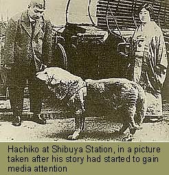 Hachiko