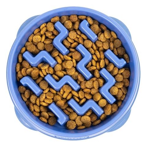 Outward Hound slow-feeder bowl