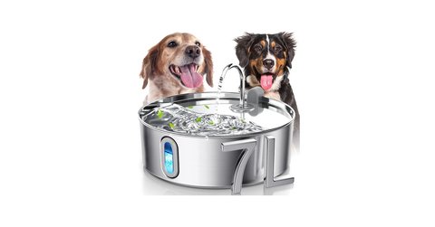 Large-dog water fountain